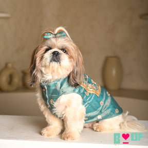 TEAL BLUE TISSUE FLORAL SEQUINS WAISTCOAT FOR DOGS AND CATS