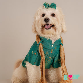BOTTLE GREEN TISSUE BUTI DOG KURTA