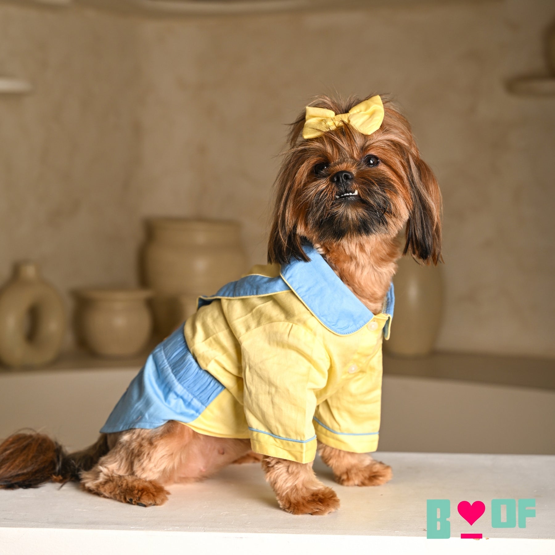 BUNNY HOP EMBROIDERED JUMPER FOR DOGS AND CATS