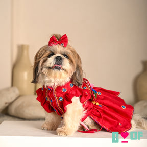 NAVRATRI KUTCH HAND EMBROIDERED LEHENGA FOR DOGS AND CATS