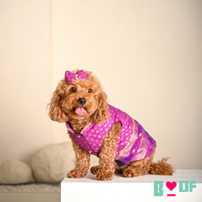 PURPLE GENDA PHOOL HAND EMBROIDERED SHERWANI FOR DOGS AND CATS