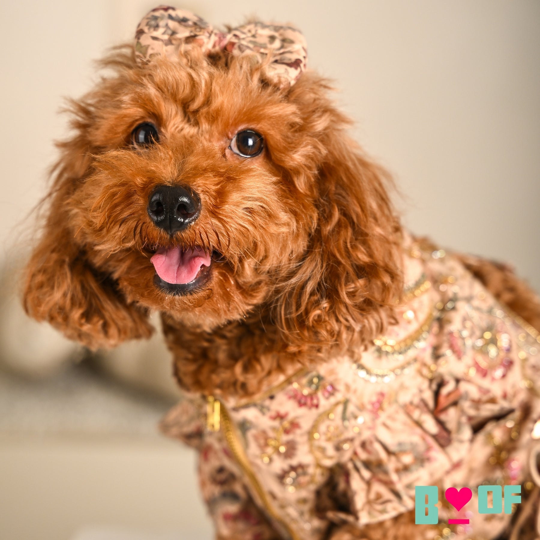 ISHQ BAHARA HAND EMBROIDERED DOG LEHENGA