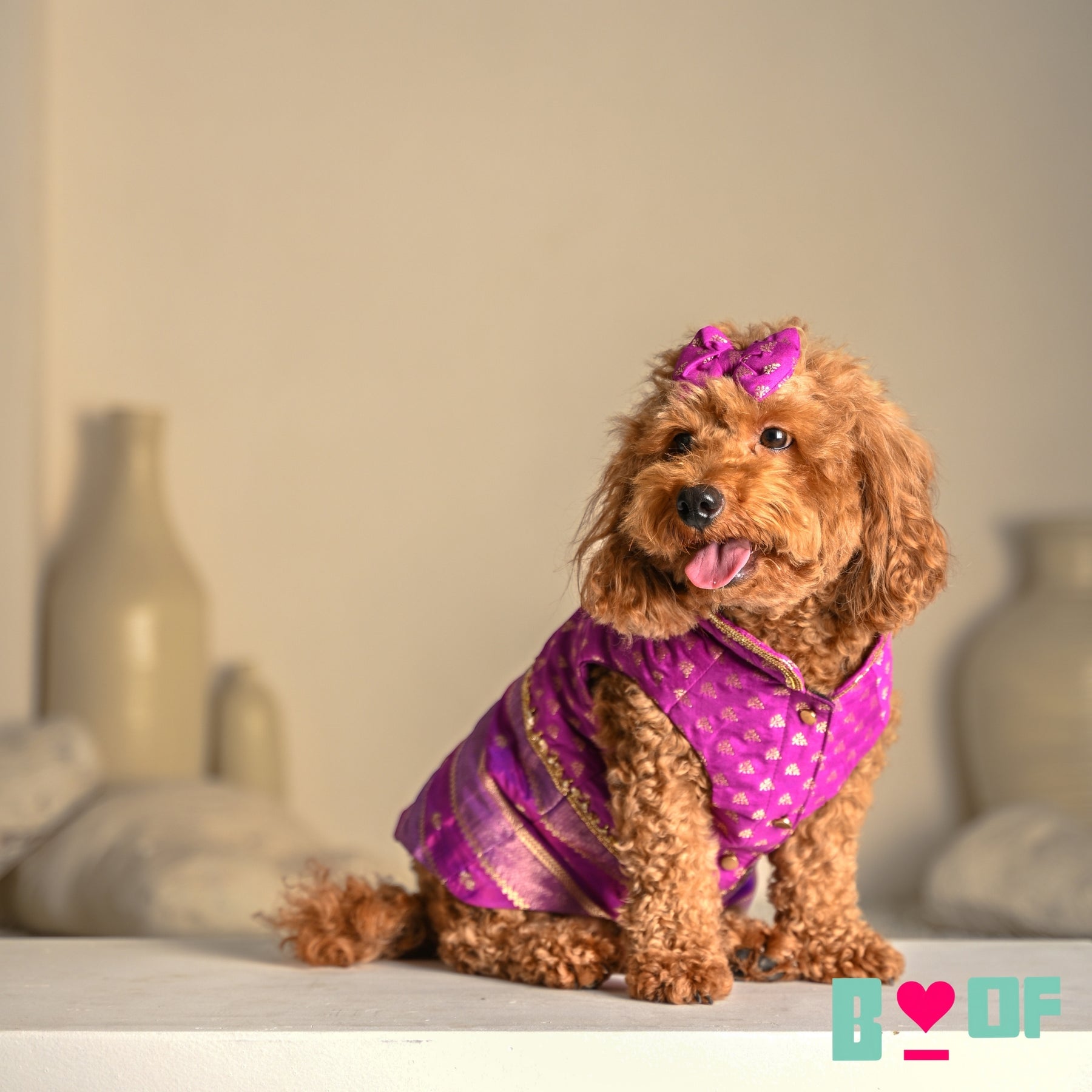 PURPLE GENDA PHOOL HAND EMBROIDERED SHERWANI FOR DOGS AND CATS