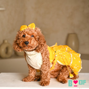 YELLOW HALTER NECK BANDHANI LEHENGA FOR DOGS AND CATS