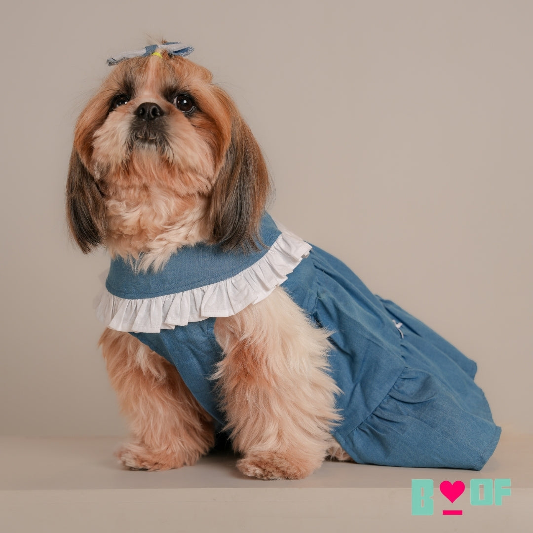 DENIM WHITE BOWS DOG DRESS