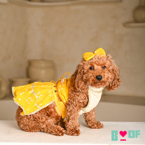 YELLOW HALTER NECK BANDHANI LEHENGA FOR DOGS AND CATS