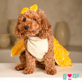 YELLOW HALTER NECK BANDHANI LEHENGA FOR DOGS AND CATS