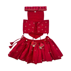 RED IKAT PRINT HAND EMBROIDERED LEHENGA FOR DOG AND CATS