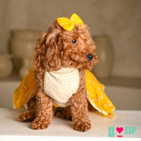 YELLOW HALTER NECK BANDHANI LEHENGA FOR DOGS AND CATS