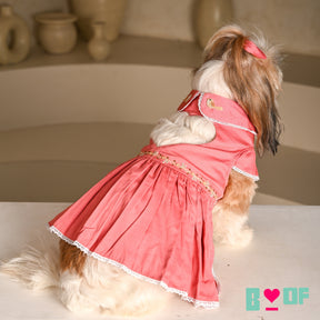 SWEETHEART SPARROW EMBROIDERED DRESS FOR DOGS AND CATS