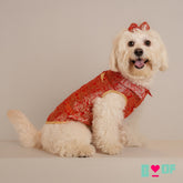 SCARLET PAISLEY BROCADE DOG WAISTCOAT