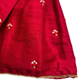 RED IKAT PRINT HAND EMBROIDERED LEHENGA FOR DOG AND CATS