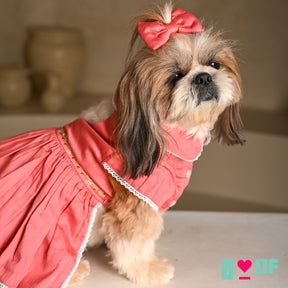 SWEETHEART SPARROW EMBROIDERED DRESS FOR DOGS AND CATS