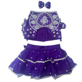 PURPLE WHITE PATTA HAND EMBROIDERED DOG LEHENGA