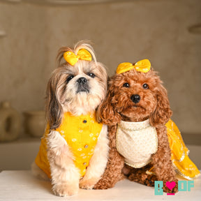 YELLOW HALTER NECK BANDHANI LEHENGA FOR DOGS AND CATS