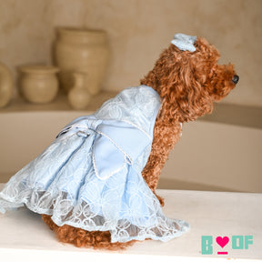 BABY BLUE CINDERELLA'S DAY DRESS FOR DOGS AND CATS
