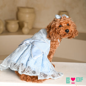 BABY BLUE CINDERELLA'S DAY DRESS FOR DOGS AND CATS