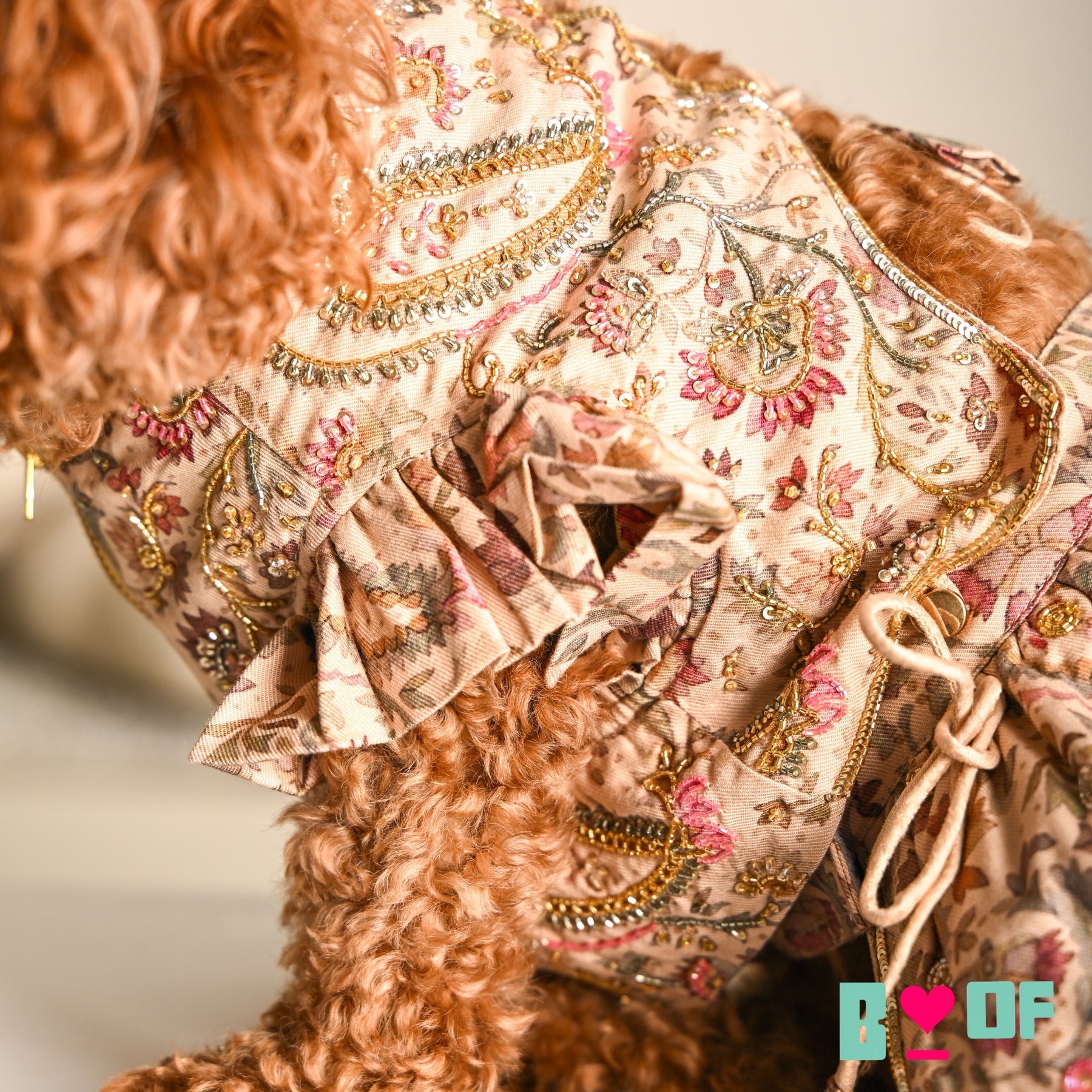 ISHQ BAHARA HAND EMBROIDERED DOG LEHENGA