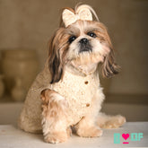 BEADED FLOWER HAND EMBROIDERED SHERWANI FOR DOGS AND CATS