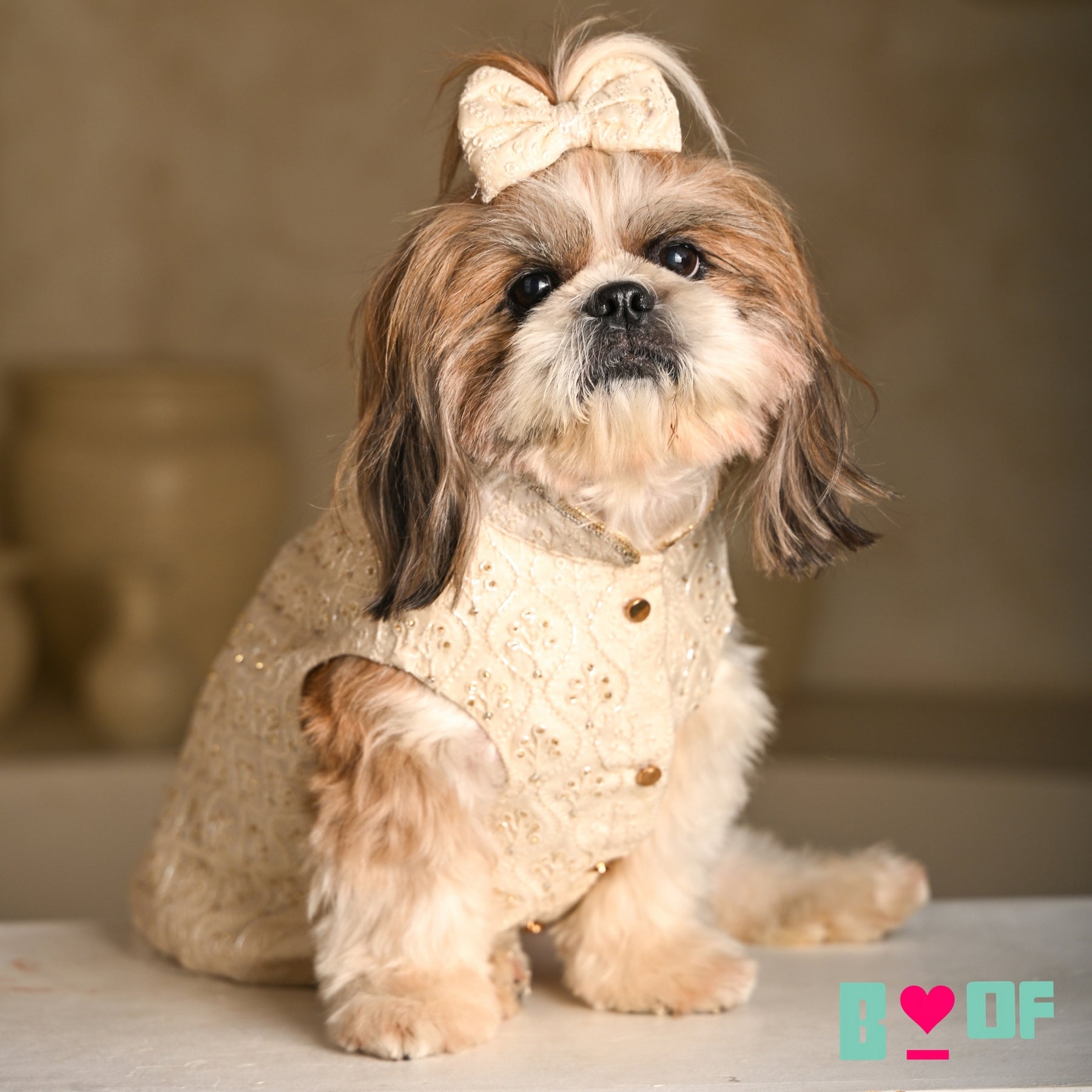 BEADED FLOWER HAND EMBROIDERED SHERWANI FOR DOGS AND CATS