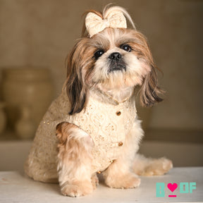 BEADED FLOWER HAND EMBROIDERED SHERWANI FOR DOGS AND CATS