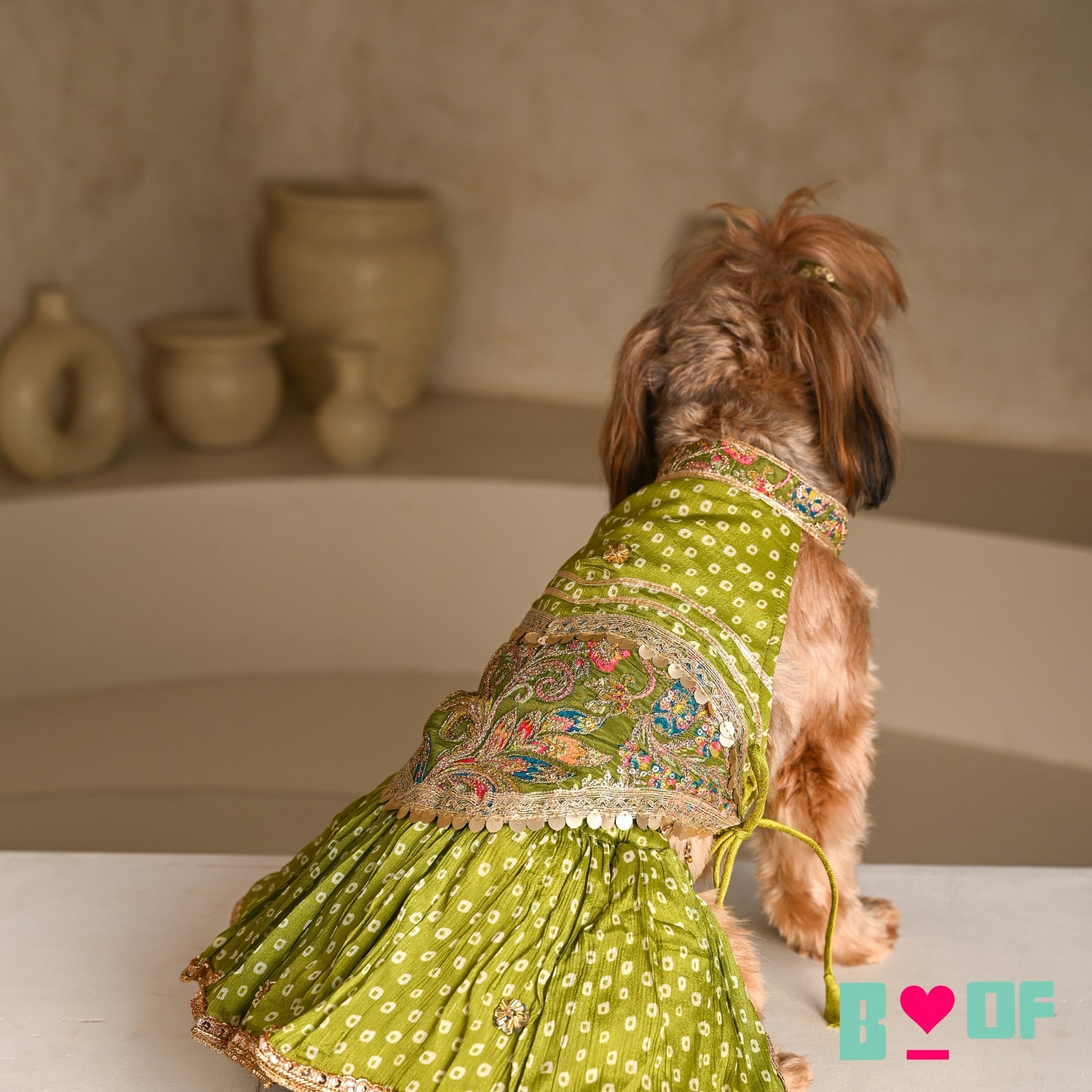MEHENDI GREEN BANDHANI PRINT HALTER NECK LEHENGA FOR DOGS AND CATS
