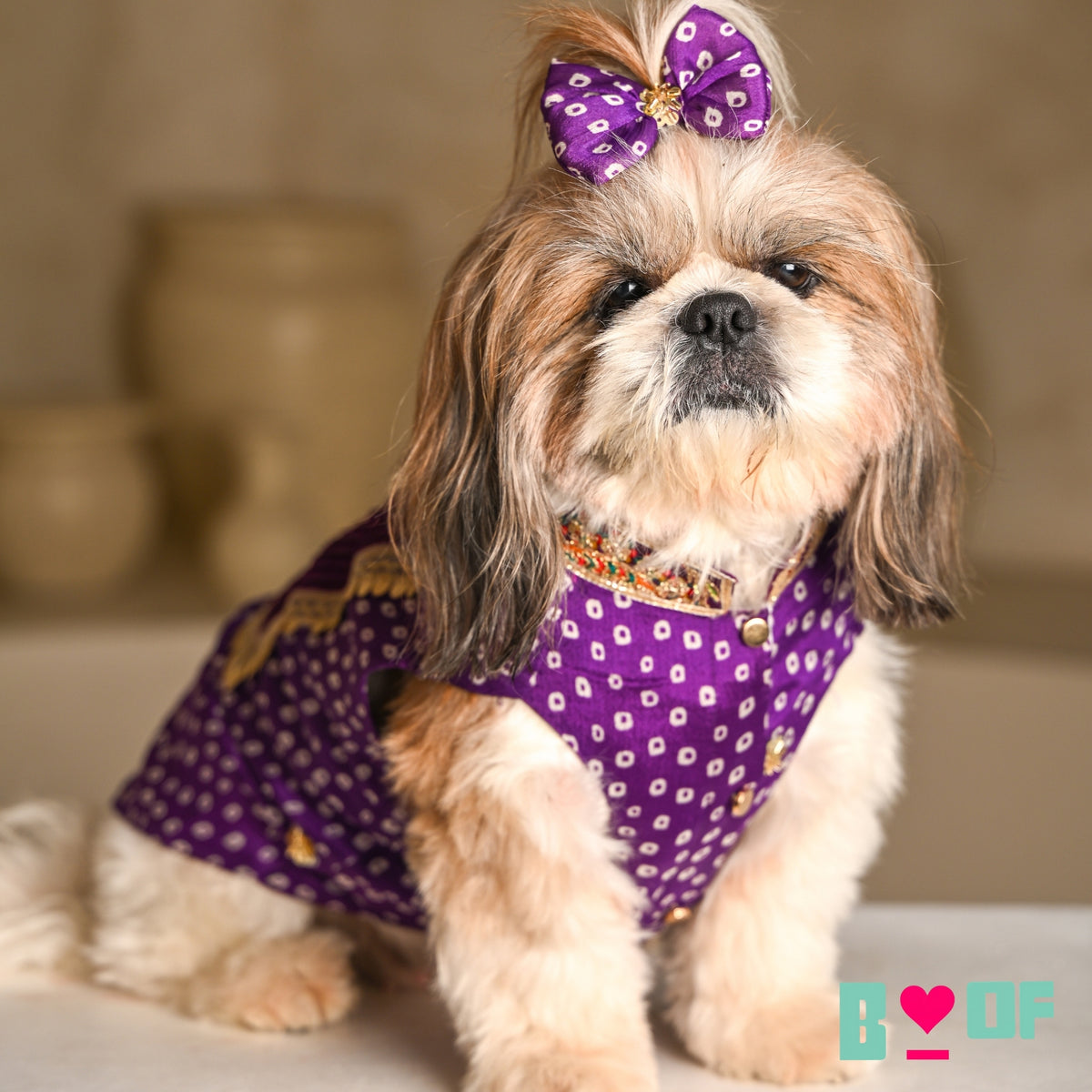 PURPLE BANDHANI SHERWANI FOR DOGS AND CATS