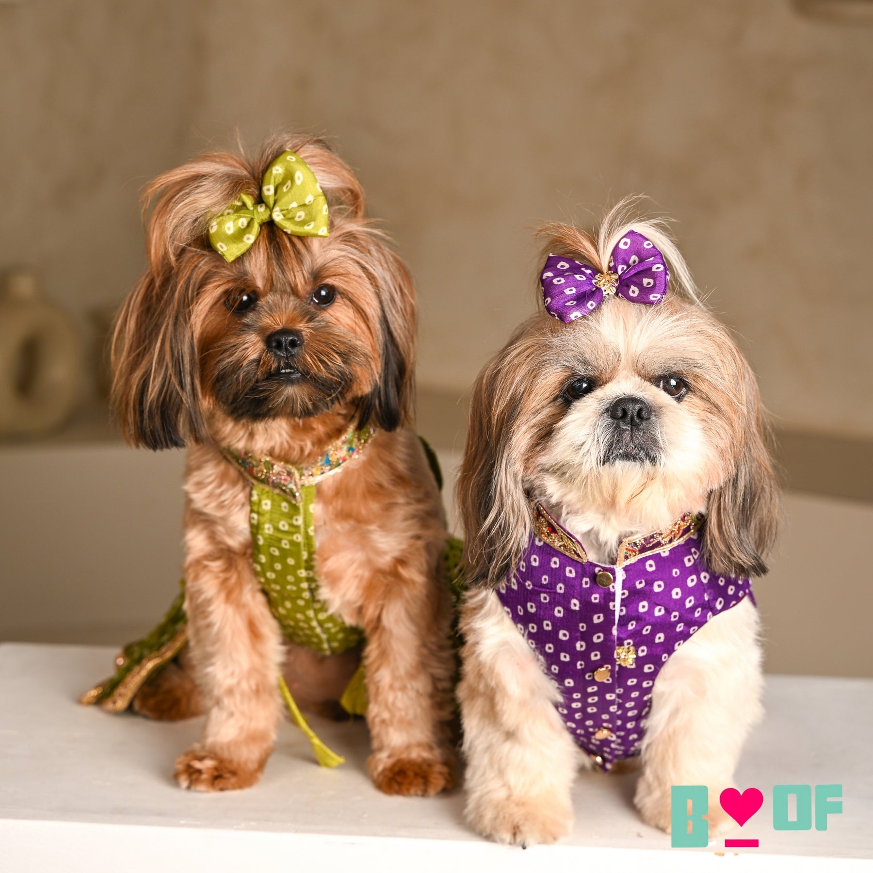 PURPLE BANDHANI SHERWANI FOR DOGS AND CATS
