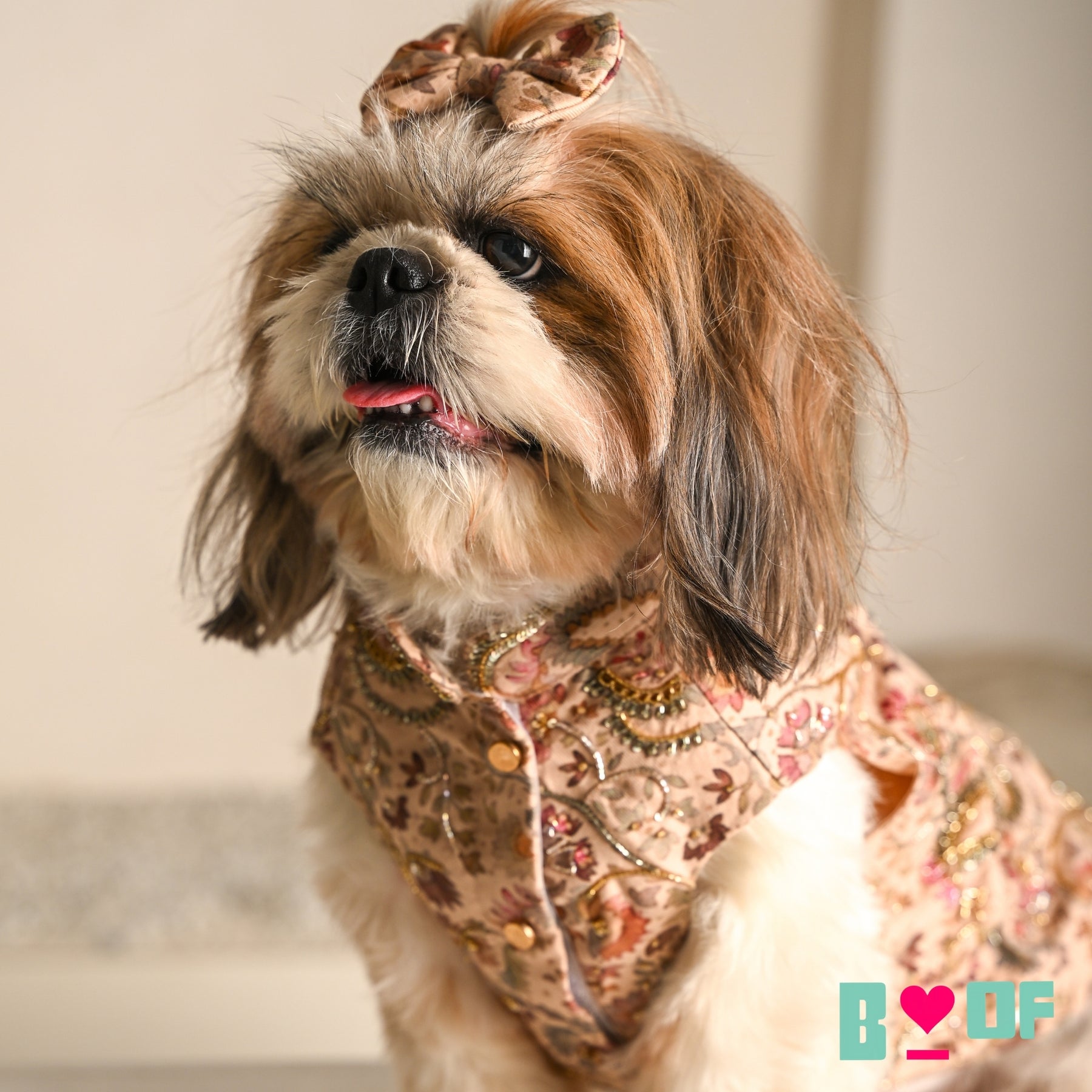 ISHQ BAHARA HAND EMBORIDERED DOG SHERWANI