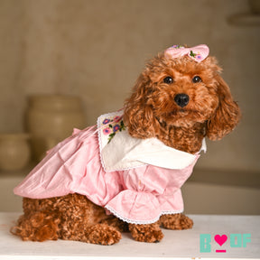 DAINTY DAISY FLOWER EMBROIDERED DRESS FOR DOGS AND CATS