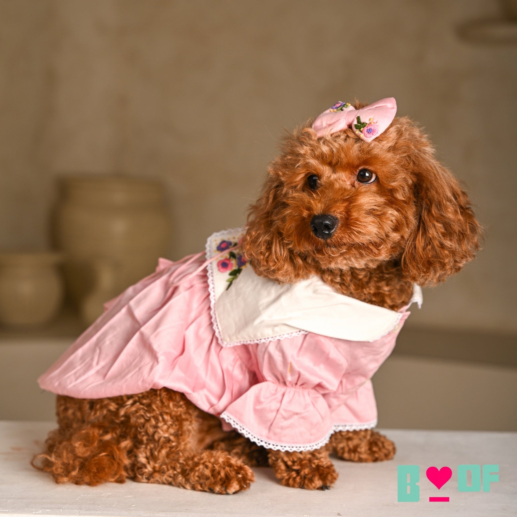 DAINTY DAISY FLOWER EMBROIDERED DRESS FOR DOGS AND CATS