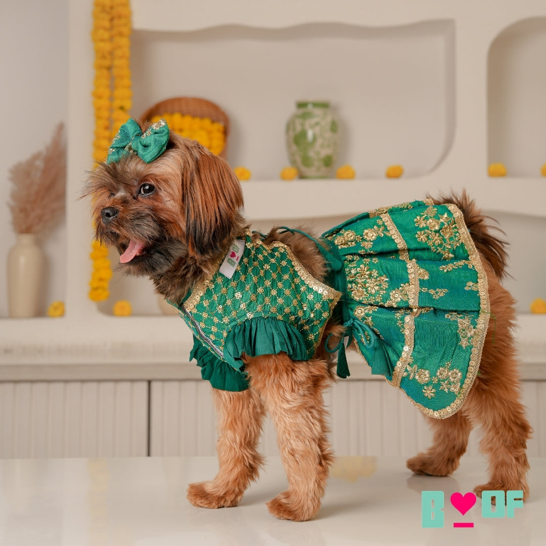 EMERALD GREEN GOLD DOG LEHENGA EMERALD GREEN GOLD DOG LEHENGA