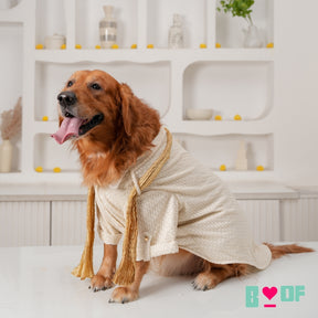 OFFWHITE EMBROIDERED DOG KURTA