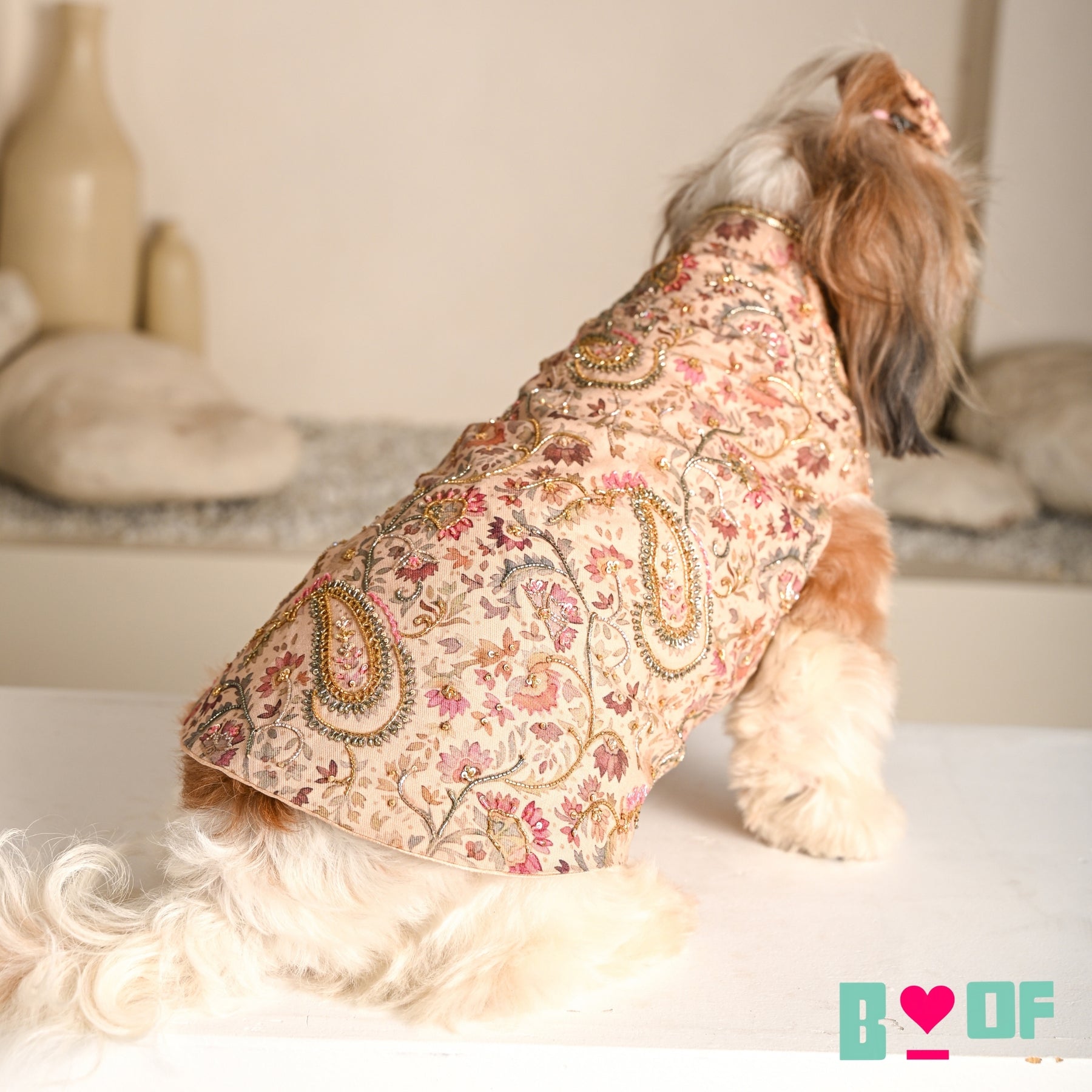 ISHQ BAHARA HAND EMBORIDERED DOG SHERWANI