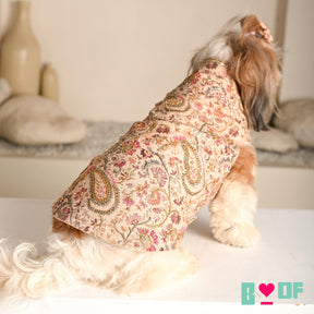 ISHQ BAHARA HAND EMBORIDERED DOG SHERWANI