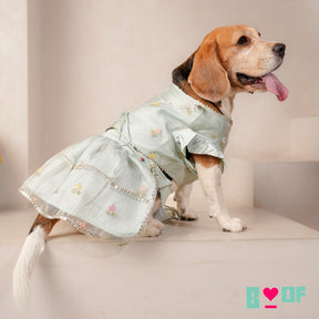 DAINTY FLORAL LIGHT BLUE DOG LEHENGA