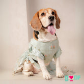 DAINTY FLORAL LIGHT BLUE DOG LEHENGA
