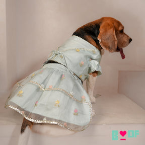 DAINTY FLORAL LIGHT BLUE DOG LEHENGA