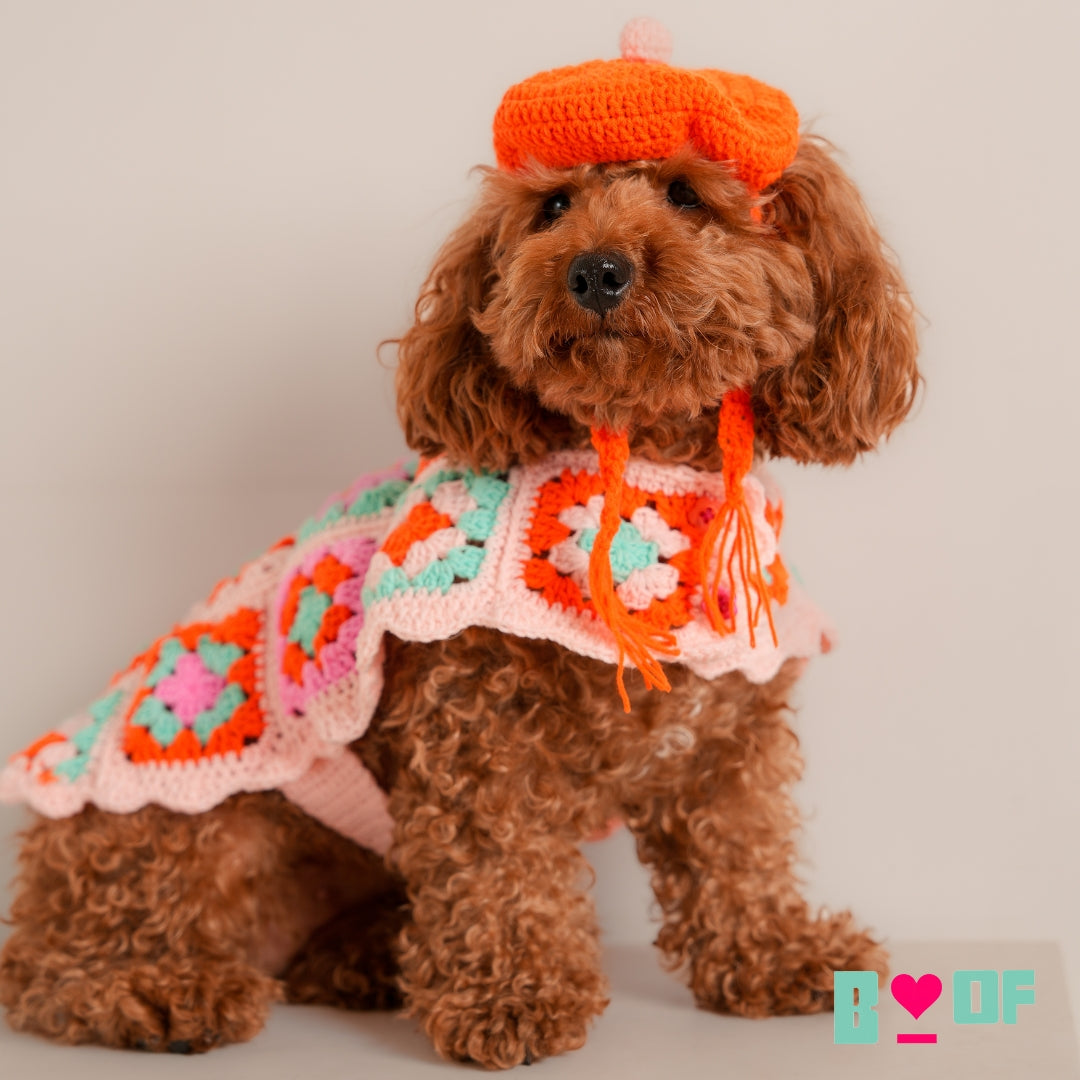 CROCHET PATCH WORK DOG JACKET WITH BERET