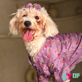 SUNSET PURPLE FLOWER EMBROIDERED DOG KURTA