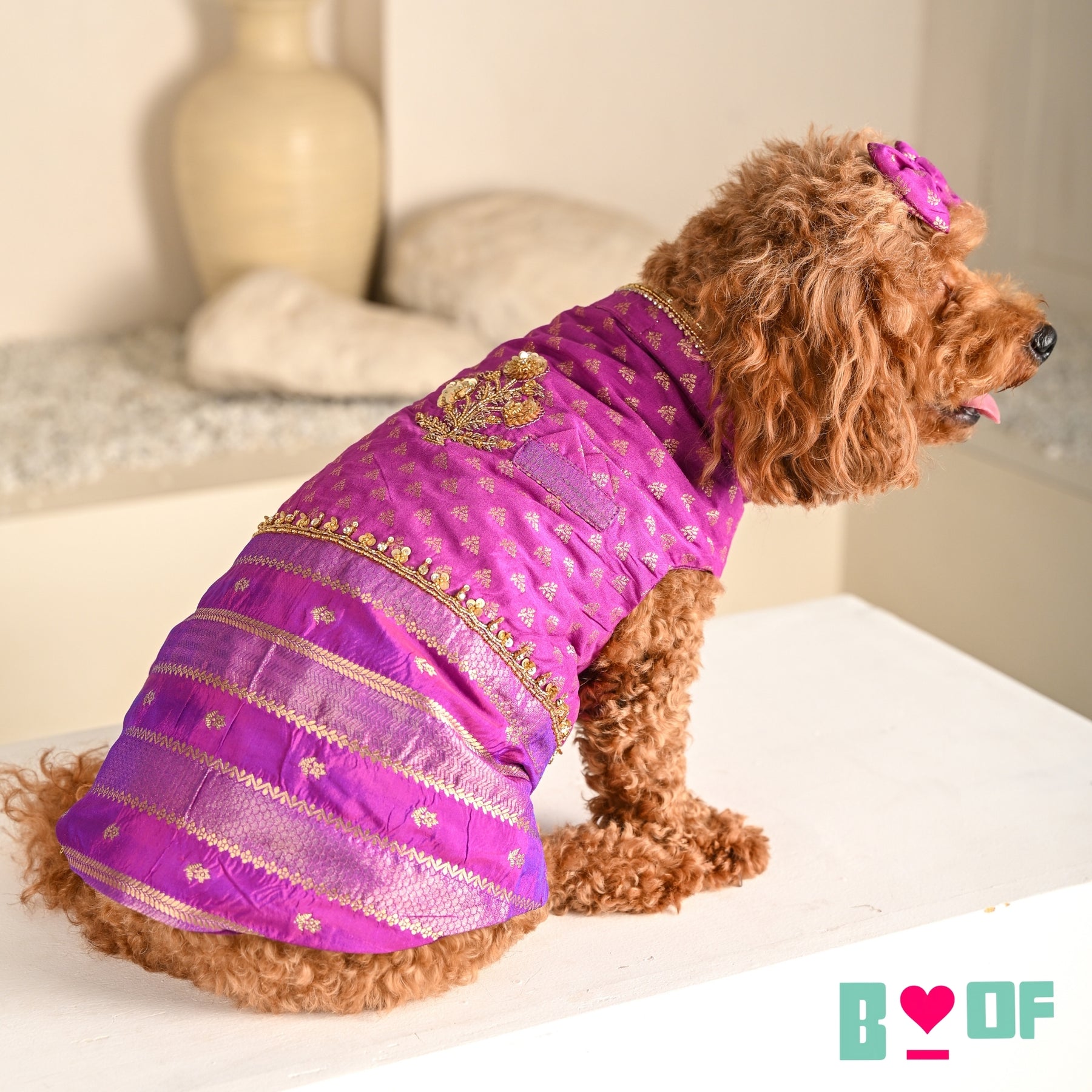 PURPLE GENDA PHOOL HAND EMBROIDERED SHERWANI FOR DOGS AND CATS