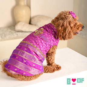 PURPLE GENDA PHOOL HAND EMBROIDERED SHERWANI FOR DOGS AND CATS