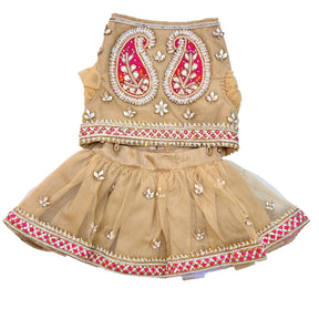 GOLD APPLIQUÉ GOTA PATTI DOG LEHENGA
