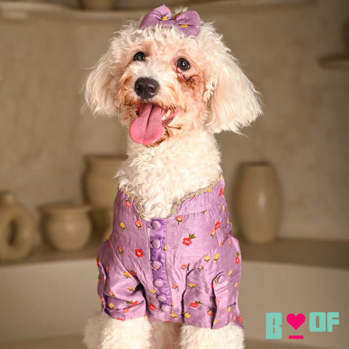 SUNSET PURPLE FLOWER EMBROIDERED DOG KURTA