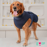 BLUE ADJUSTABLE WINTER DOG VEST