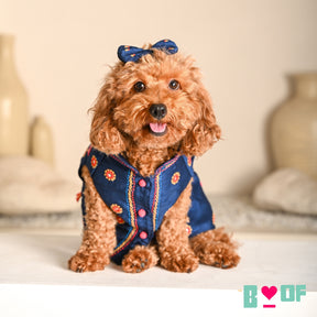 NAVRATRI KUTCH HAND EMBROIDERED SHERWANI FOR DOGS AND CATS