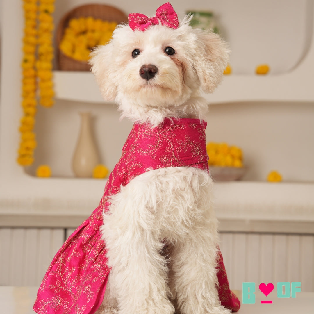 PINK HARNESS STYLE DOG DRESS