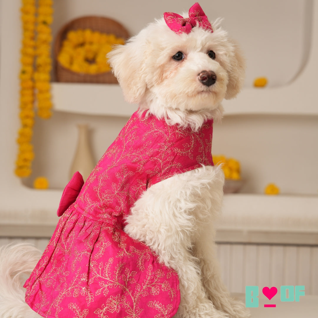 PINK HARNESS STYLE DRESS + HEART RAKHI FOR DOGS AND CATS