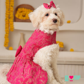 PINK HARNESS STYLE DRESS + HEART RAKHI FOR DOGS AND CATS