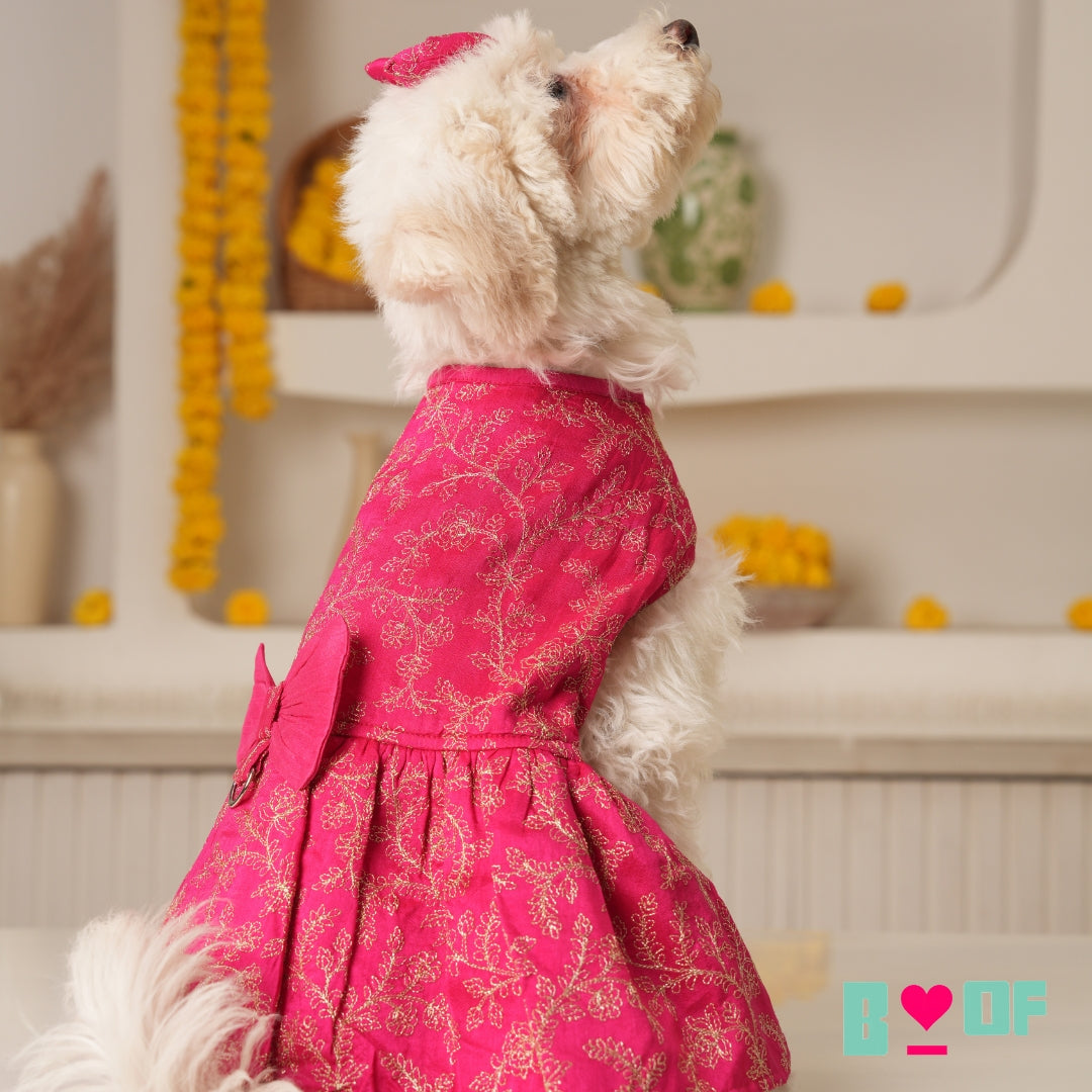 PINK HARNESS STYLE DRESS + HEART RAKHI FOR DOGS AND CATS
